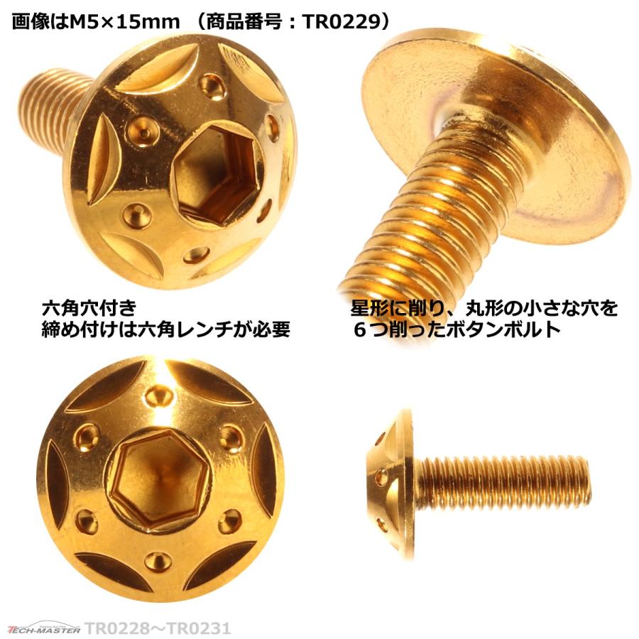 ボタンボルト M5×15mm P0.8 スターホールヘッド ステンレス ゴールド 1個 TR0229 | ブランド登録なし | 02