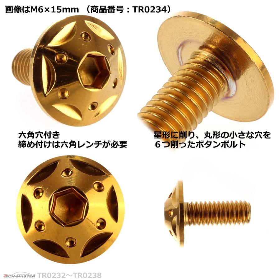 ボタンボルト M6×12mm P1.0 スターホールヘッド ステンレス ゴールド 1個 TR0233 | ブランド登録なし | 02