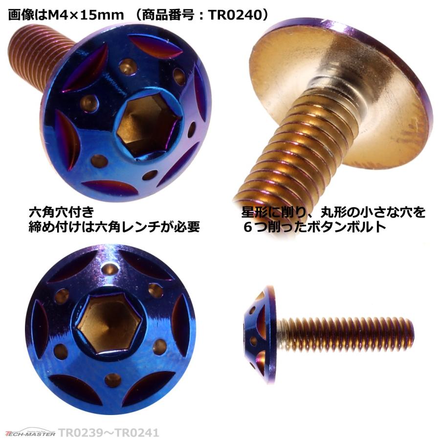 ボタンボルト M4×20mm P0.7 スターホールヘッド ステンレス 焼きチタンカラー 1個 TR0241 | ブランド登録なし | 02