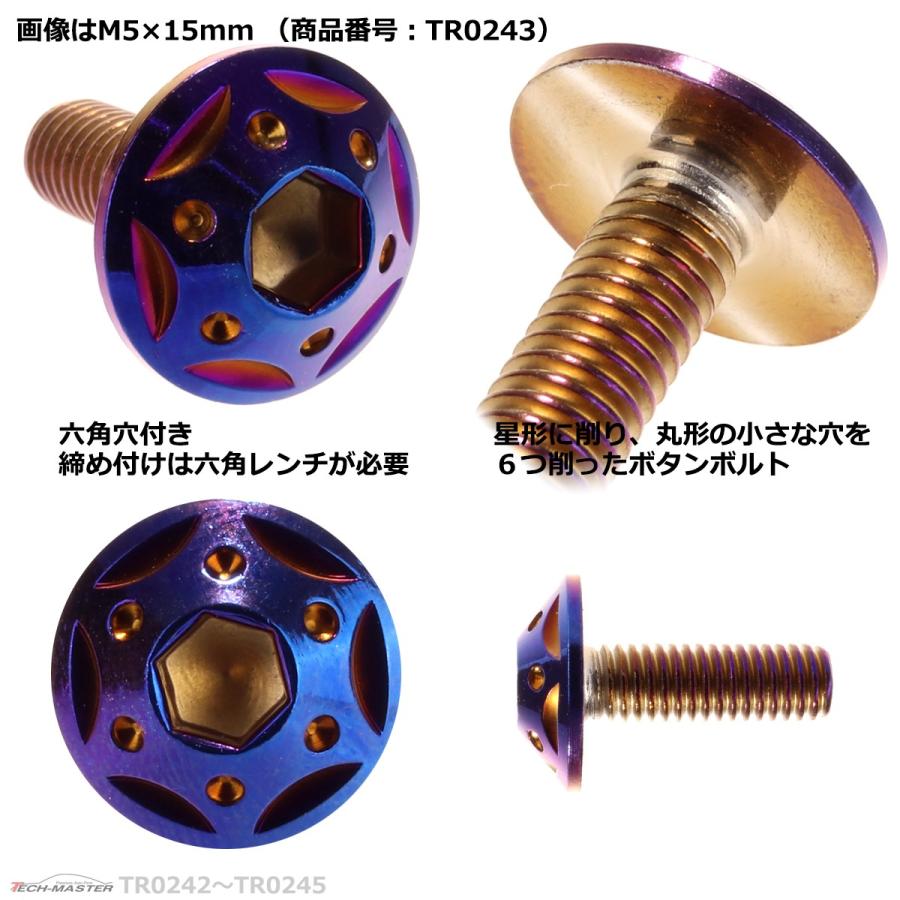 ボタンボルト M5×20mm P0.8 スターホールヘッド ステンレス 焼きチタンカラー 1個 TR0244 | ブランド登録なし | 02