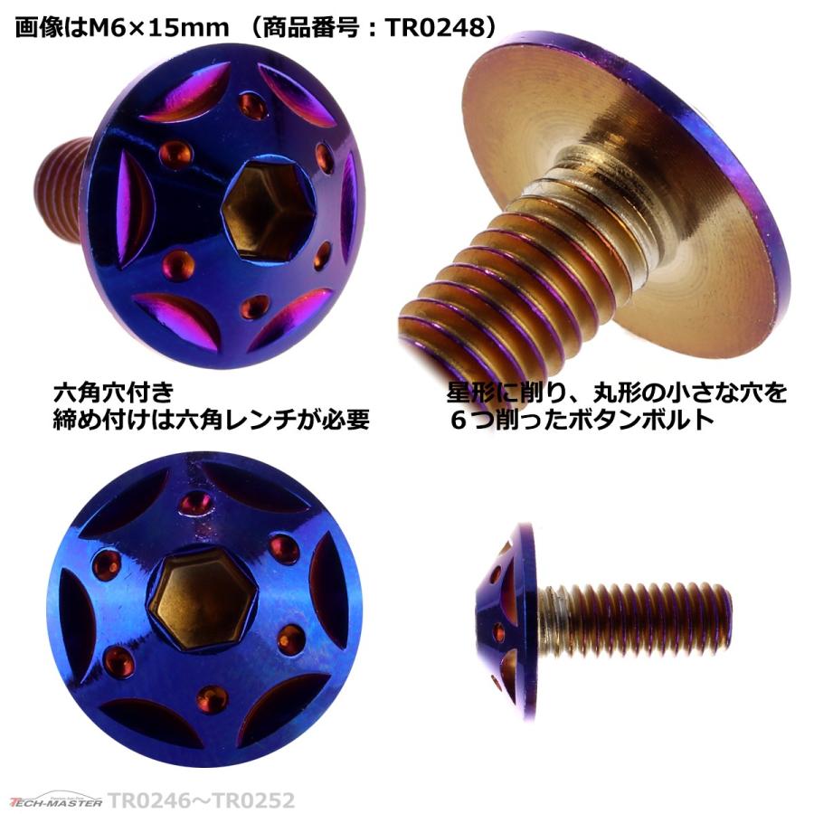 ボタンボルト M6×12mm P1.0 スターホールヘッド ステンレス 焼きチタンカラー 1個 TR0247 | ブランド登録なし | 02