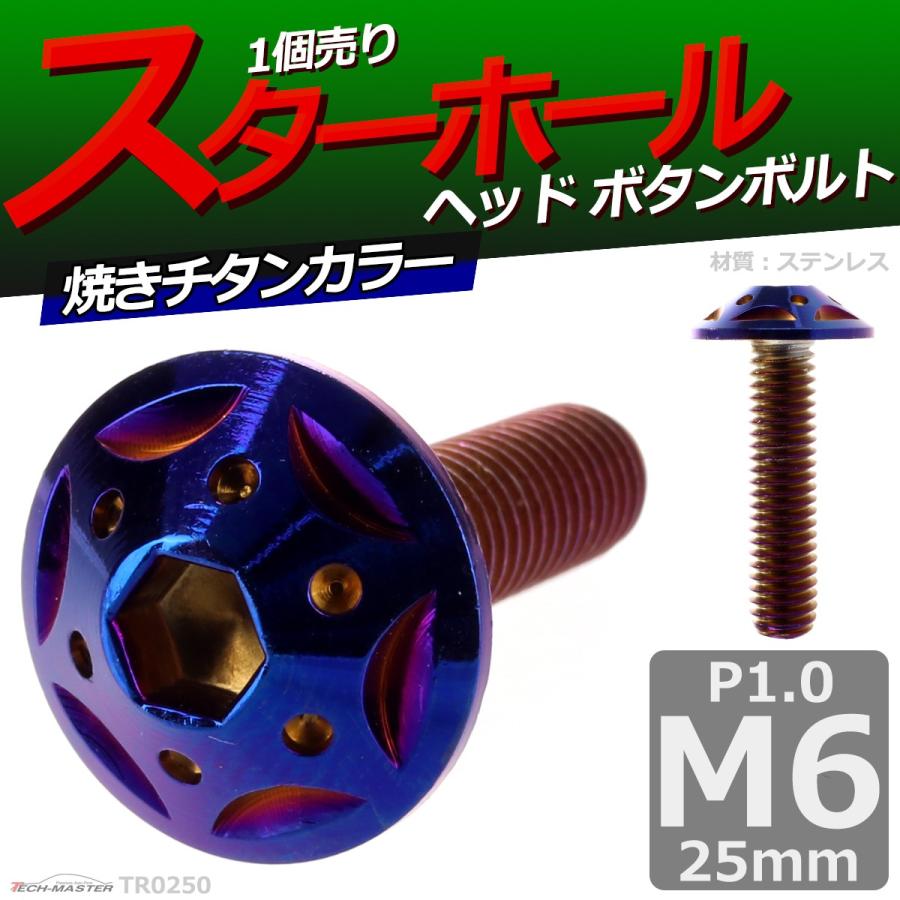 ボタンボルト M6×25mm P1.0 スターホールヘッド ステンレス 焼きチタンカラー 1個 TR0250 | ブランド登録なし | 01