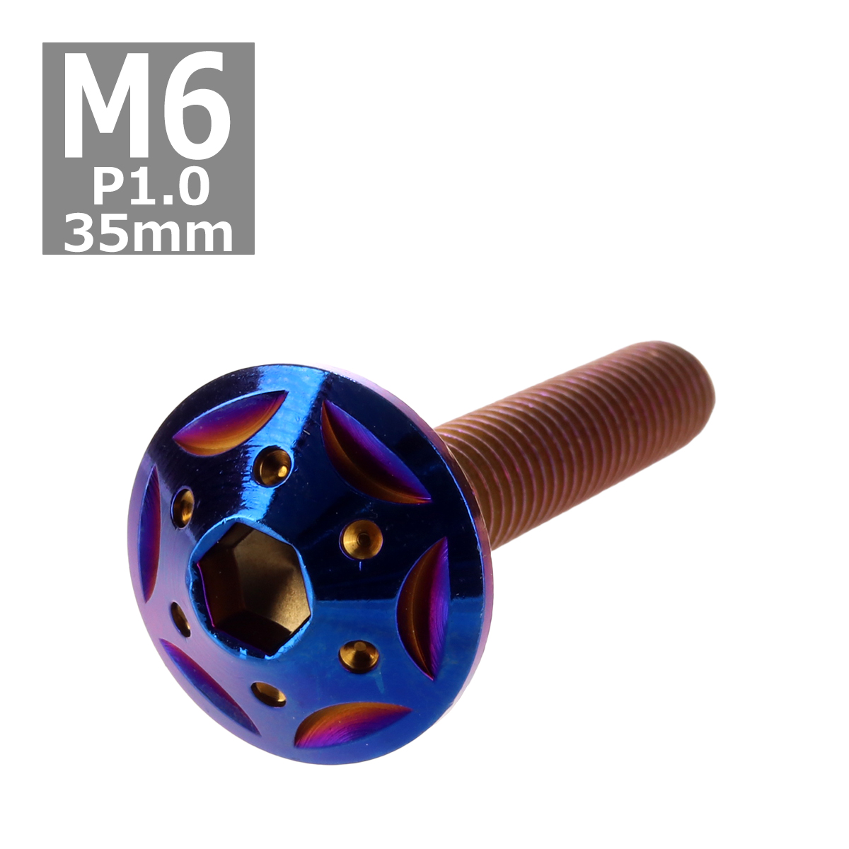 ボタンボルト M6×35mm P1.0 スターホールヘッド ステンレス 焼きチタンカラー 1個 TR0252 | ブランド登録なし