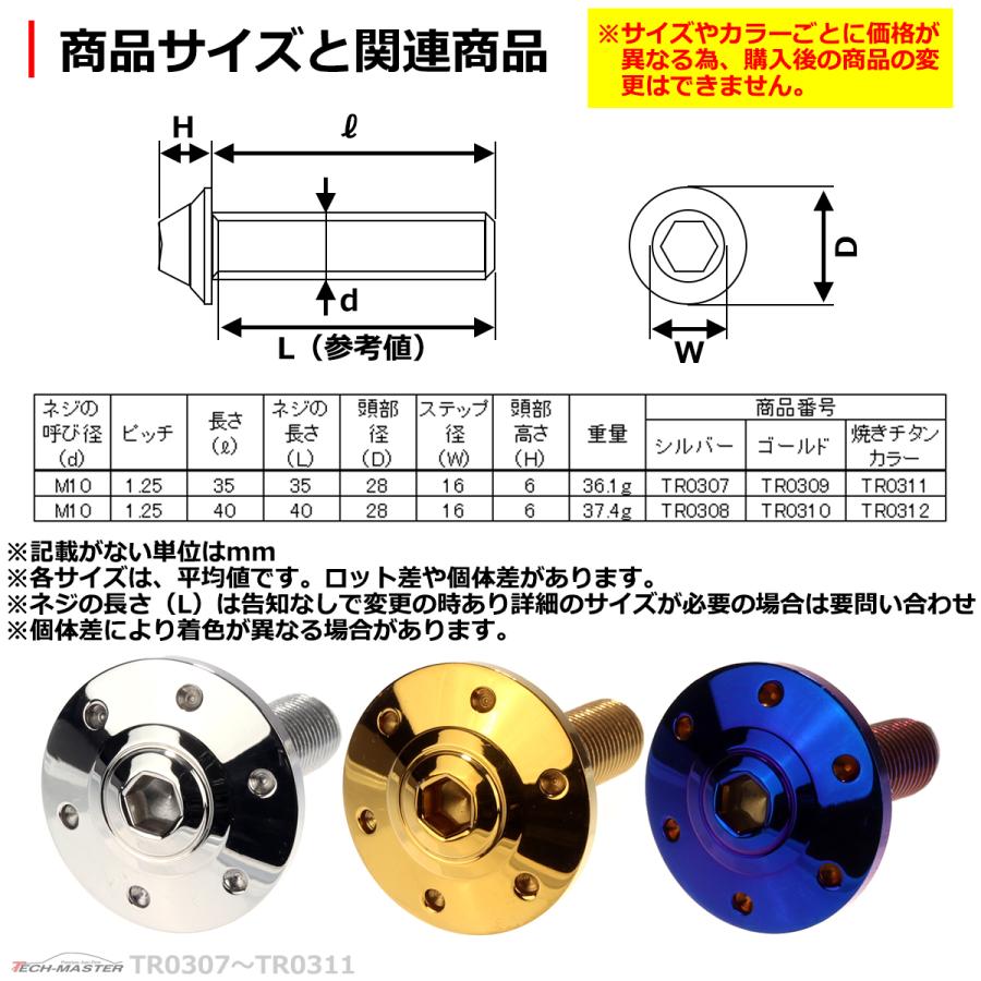 ボタンボルト M10×35mm P1.25 ホールヘッド ワイドフランジ付き ステンレス シルバー 1個 TR0307 | ブランド登録なし | 03