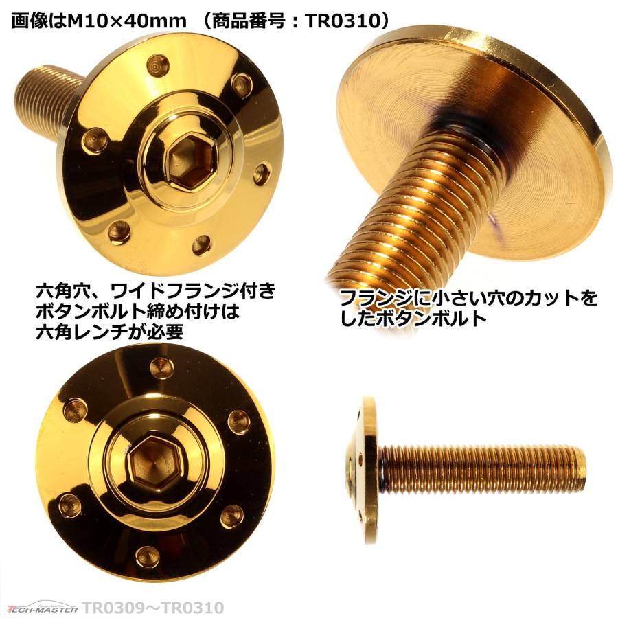 ボタンボルト M10×40mm P1.25 ホールヘッド ワイドフランジ付き ステンレス ゴールド 1個 TR0310 | ブランド登録なし | 02