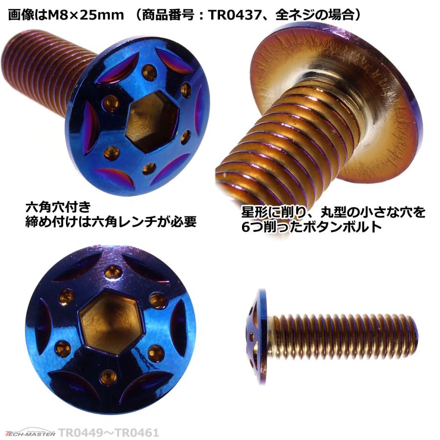 ボタンボルト M8×65mm P1.25 スターホールヘッド ステンレス 焼きチタンカラー 1個 TR0458 | ブランド登録なし | 02