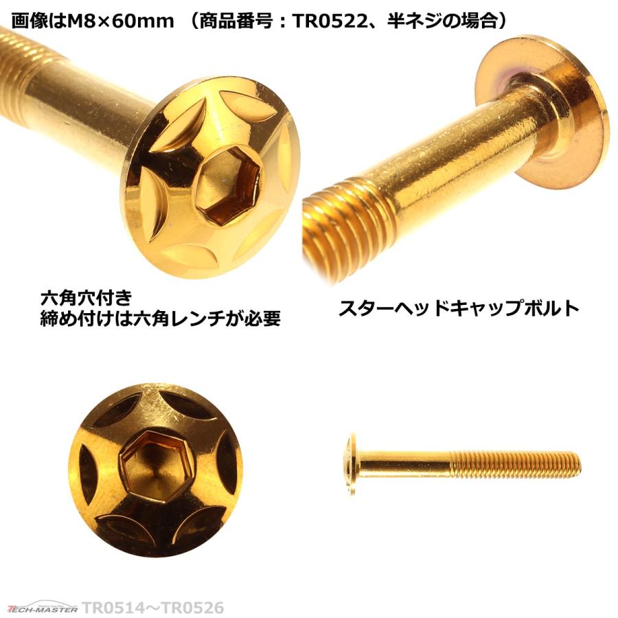 ボタンボルト M8×45mm P1.25 スターヘッド ステンレス ゴールド 1個 TR0519 | ブランド登録なし | 03