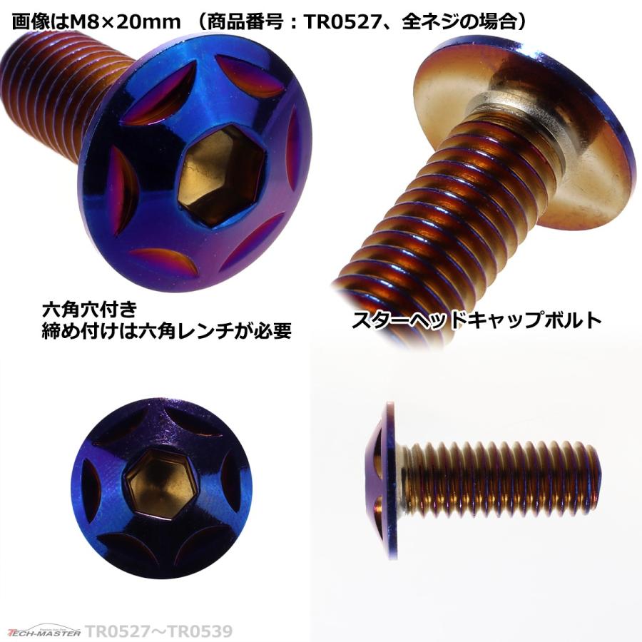 ボタンボルト M8×60mm P1.25 スターヘッド ステンレス 焼きチタンカラー 1個 TR0535 | ブランド登録なし | 02