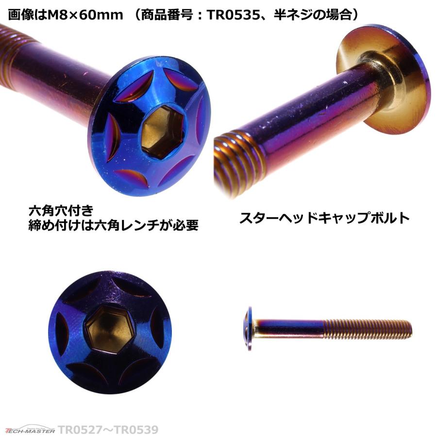 ボタンボルト M8×60mm P1.25 スターヘッド ステンレス 焼きチタンカラー 1個 TR0535 | ブランド登録なし | 03