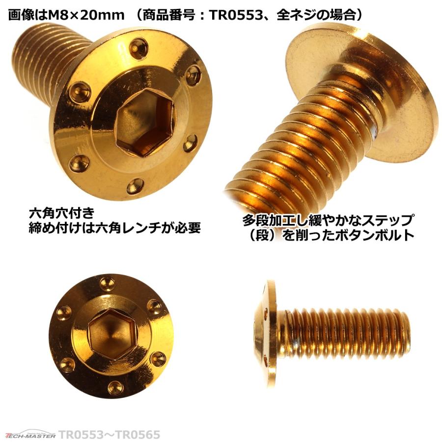 ボタンボルト M8×40mm P1.25 ホールヘッド H-1 ステンレス ゴールド 1個 TR0557 | ブランド登録なし | 02