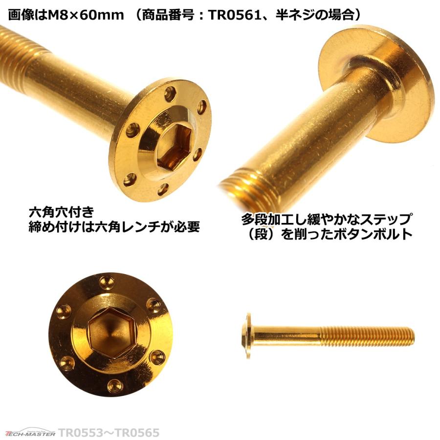 ボタンボルト M8×60mm P1.25 ホールヘッド H-1 ステンレス ゴールド 1個 TR0561 | ブランド登録なし | 03
