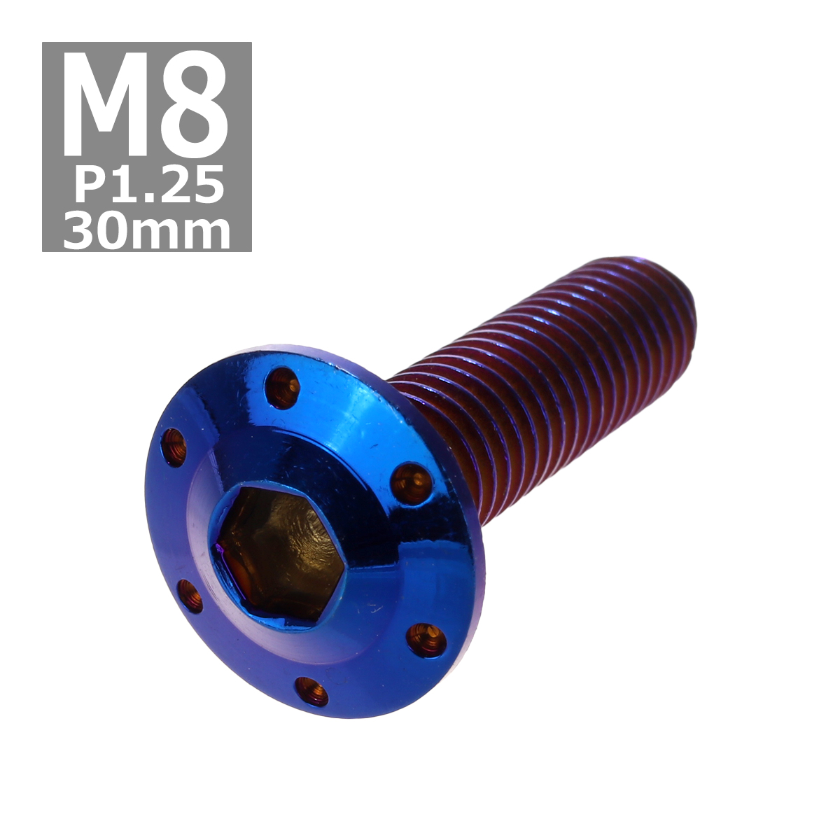 ボタンボルト M8×30mm P1.25 ホールヘッド H-1 ステンレス 焼きチタンカラー 1個 TR0568 | ブランド登録なし