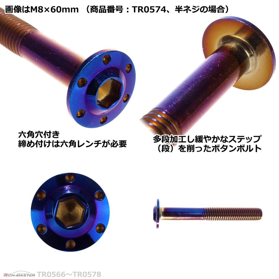 ボタンボルト M8×50mm P1.25 ホールヘッド H-1 ステンレス 焼きチタンカラー 1個 TR0572 | ブランド登録なし | 03
