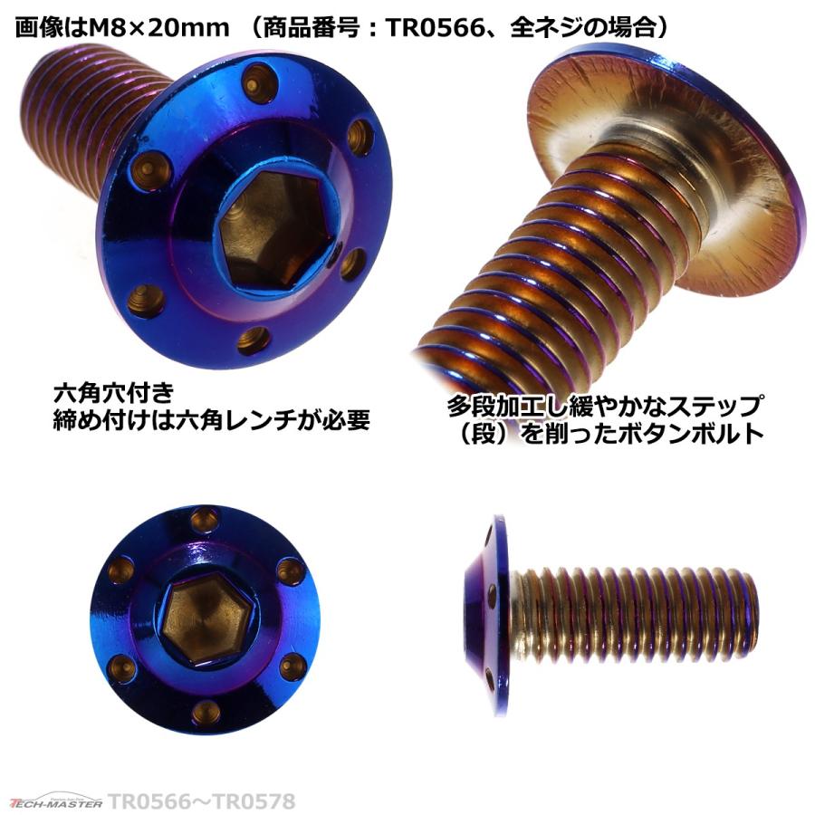 ボタンボルト M8×70mm P1.25 ホールヘッド H-1 ステンレス 焼きチタンカラー 1個 TR0576 | ブランド登録なし | 02
