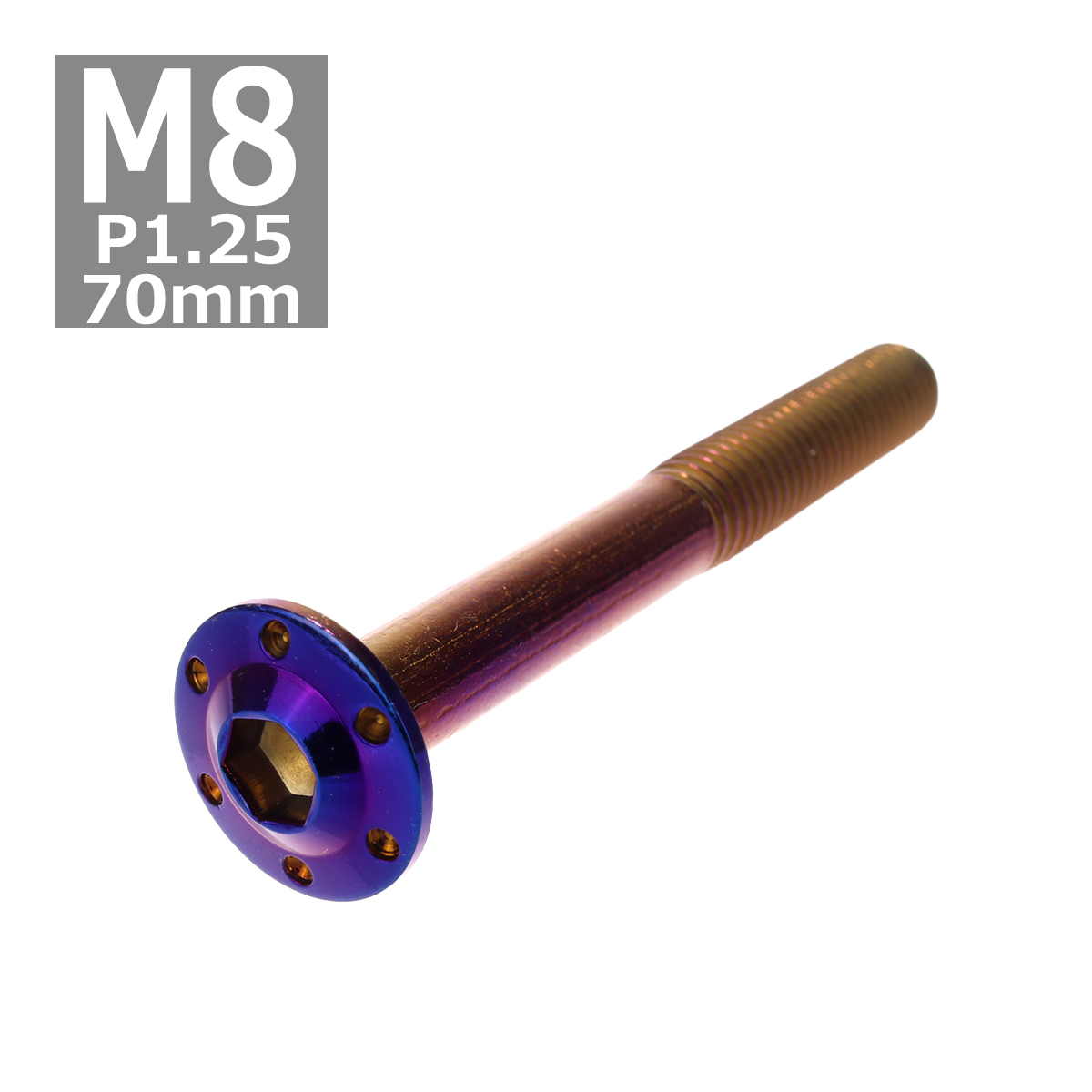 ボタンボルト M8×70mm P1.25 ホールヘッド H-1 ステンレス 焼きチタンカラー 1個 TR0576 | ブランド登録なし