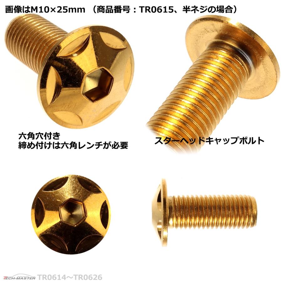 ボタンボルト M10×45mm P1.25 スターヘッド ステンレス ゴールド 1個 TR0619 | ブランド登録なし | 02