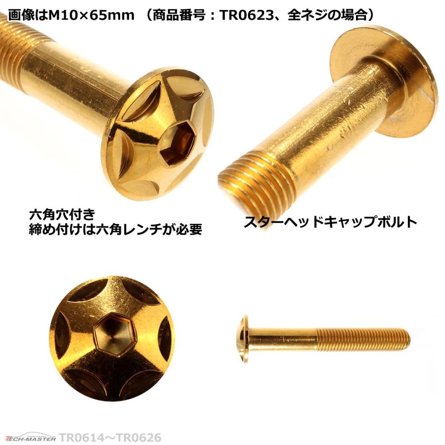 ボタンボルト M10×65mm P1.25 スターヘッド ステンレス ゴールド 1個 TR0623 | ブランド登録なし | 03