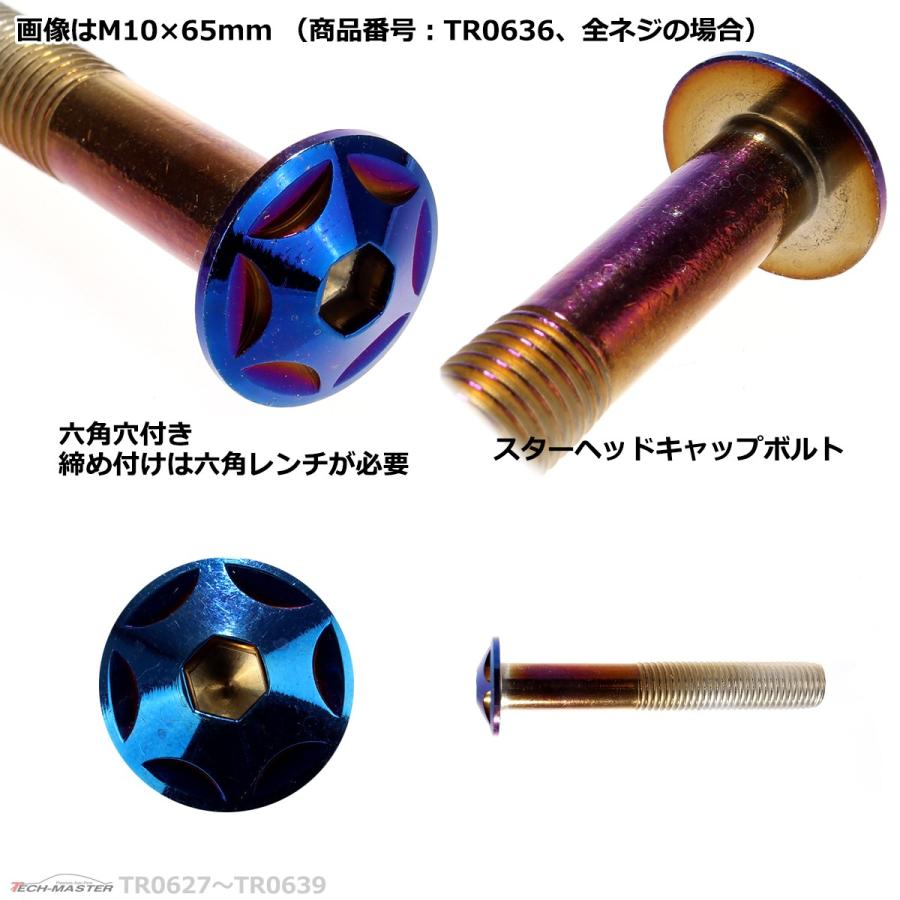 ボタンボルト M10×20mm P1.25 スターヘッド ステンレス 焼きチタンカラー 1個 TR0627 | ブランド登録なし | 03