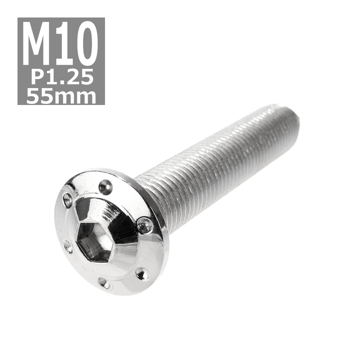 ボタンボルト M10×55mm P1.25 ホールヘッド H-1 ステンレス シルバー 1個 TR0647 | ブランド登録なし