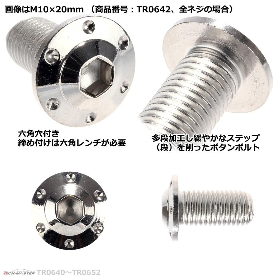 ボタンボルト M10×70mm P1.25 ホールヘッド H-1 ステンレス シルバー 1個 TR0650 | ブランド登録なし | 02