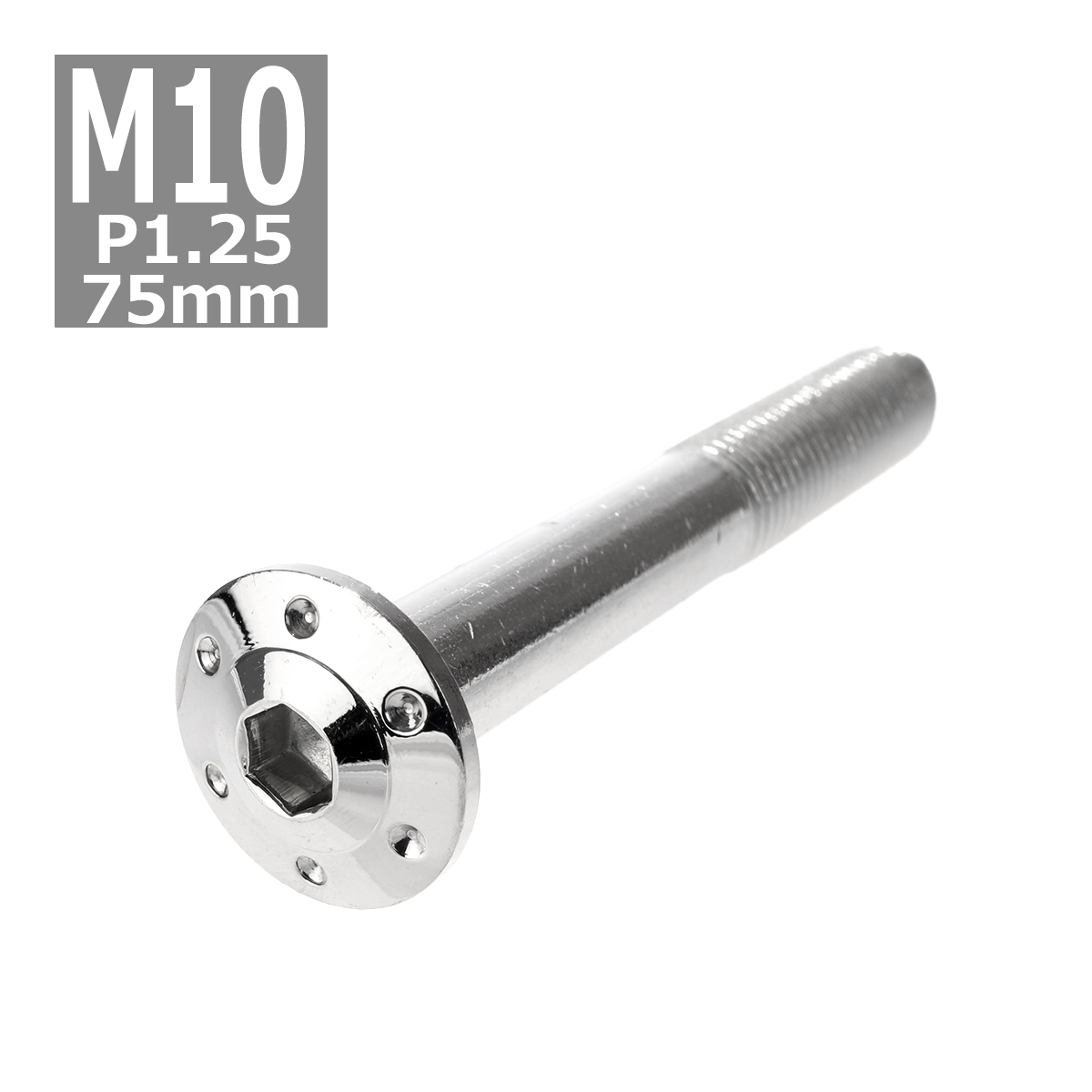 ボタンボルト M10×75mm P1.25 ホールヘッド H-1 ステンレス シルバー 1個 TR0651 | ブランド登録なし