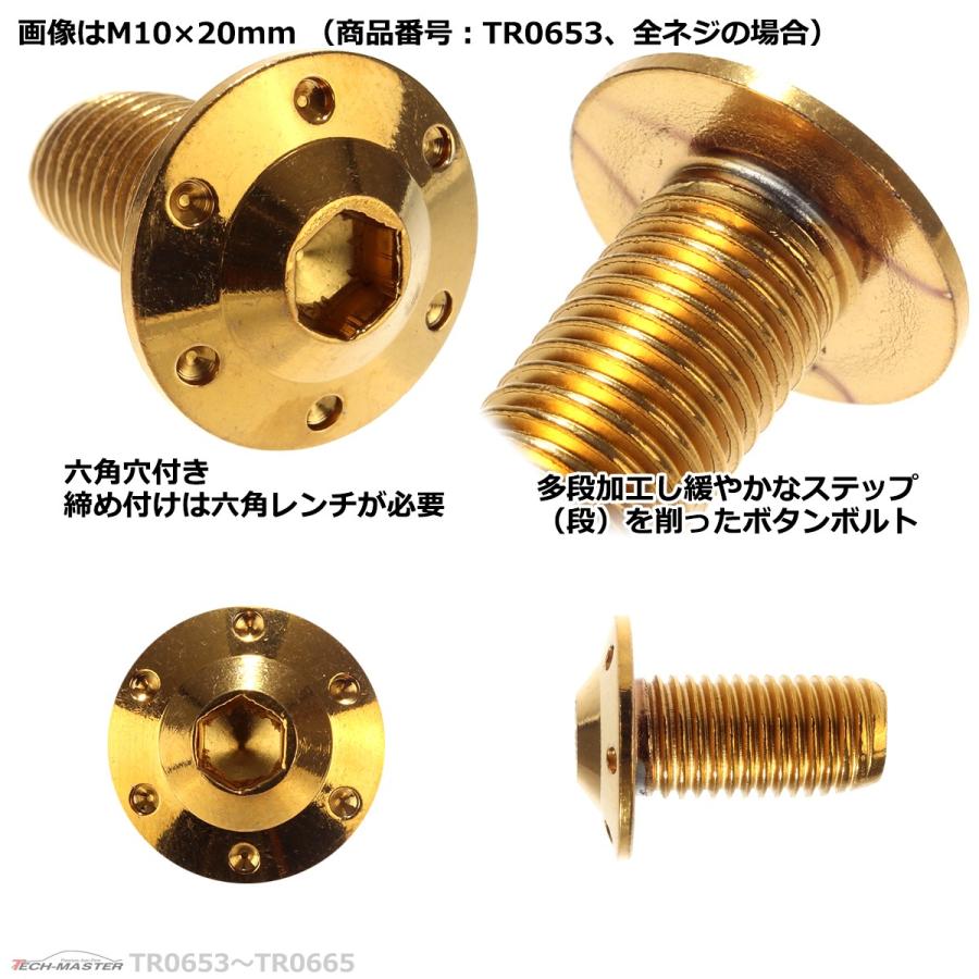ボタンボルト M10×45mm P1.25 ホールヘッド H-1 ステンレス ゴールド 1個 TR0658 | ブランド登録なし | 02