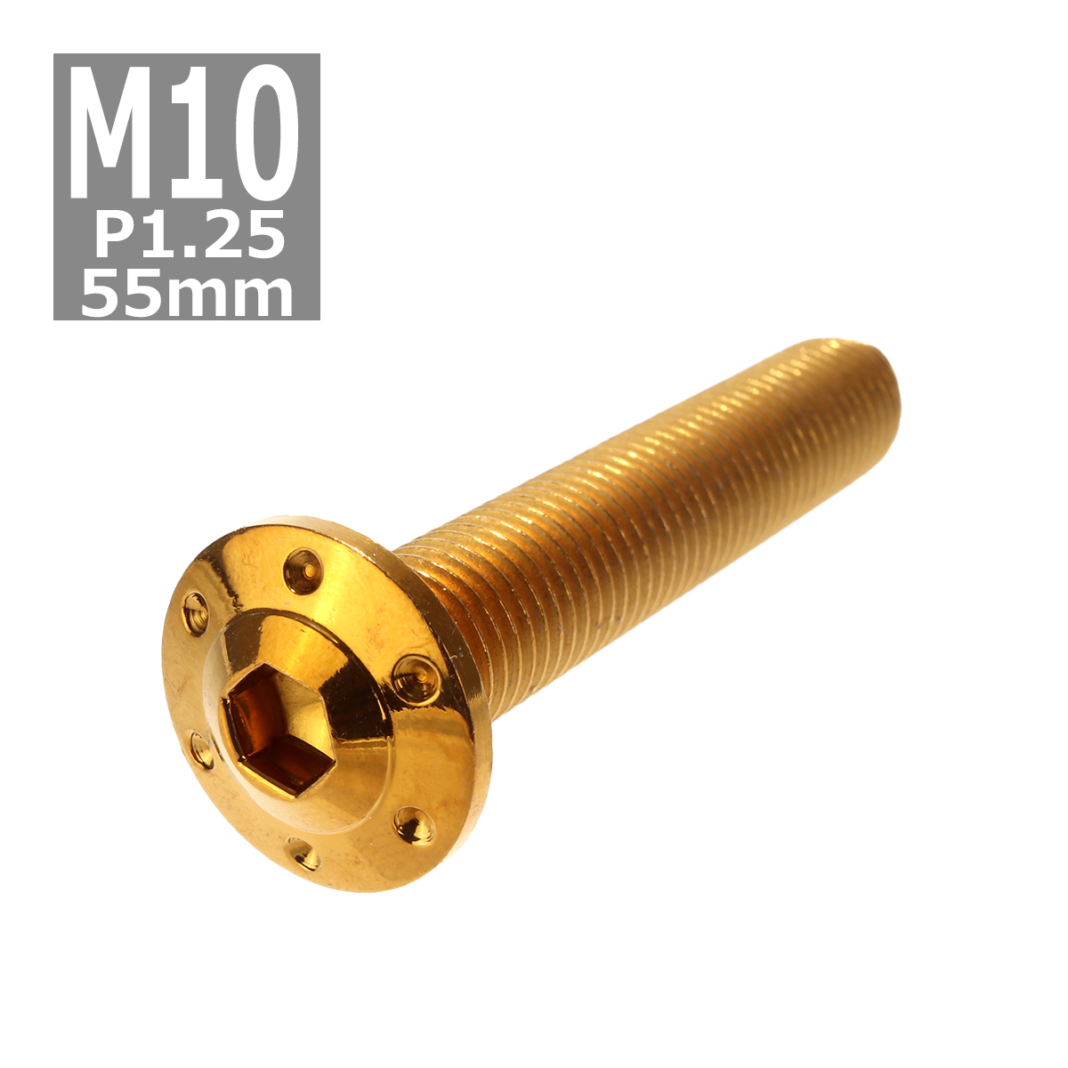 ボタンボルト M10×55mm P1.25 ホールヘッド H-1 ステンレス ゴールド 1個 TR0660 | ブランド登録なし