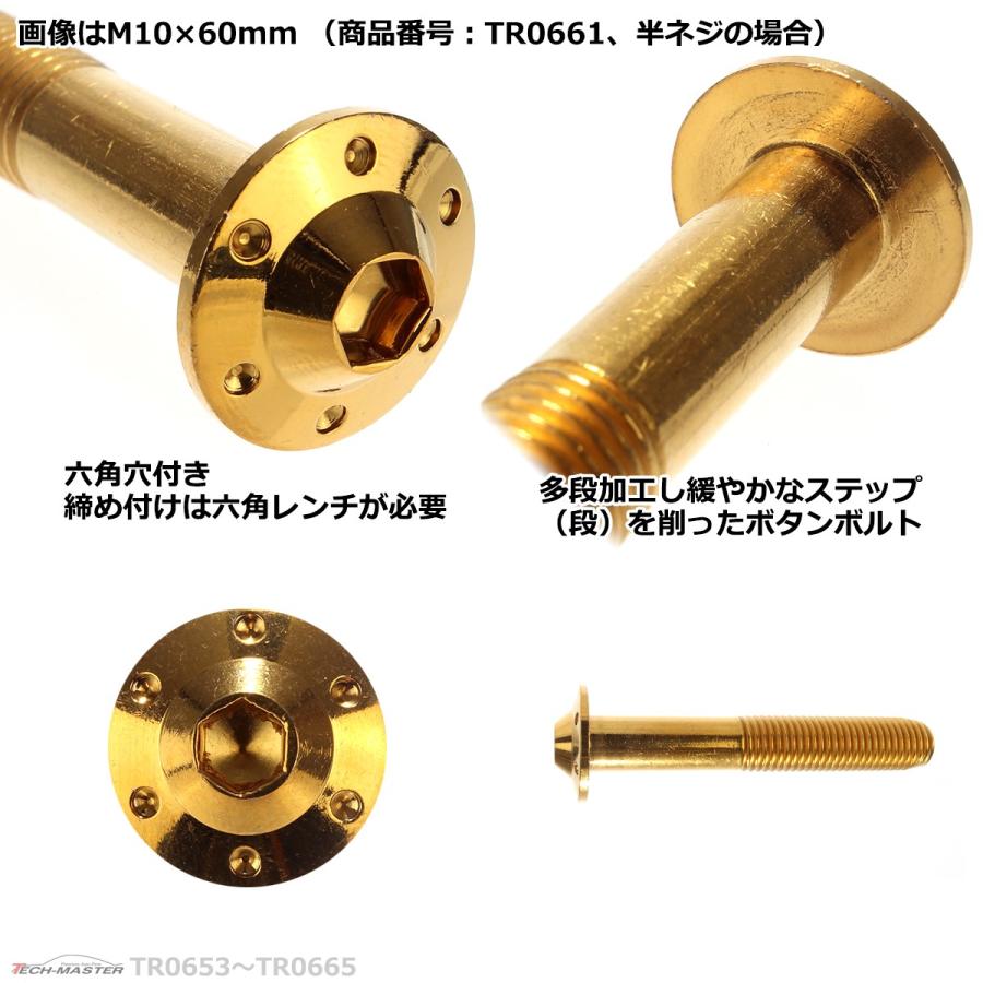 ボタンボルト M10×75mm P1.25 ホールヘッド H-1 ステンレス ゴールド 1個 TR0664 | ブランド登録なし | 03