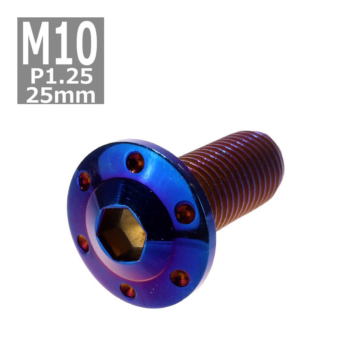 ボタンボルト M10×25mm P1.25 ホールヘッド H-1 ステンレス 焼きチタンカラー 1個 TR0667 | ブランド登録なし