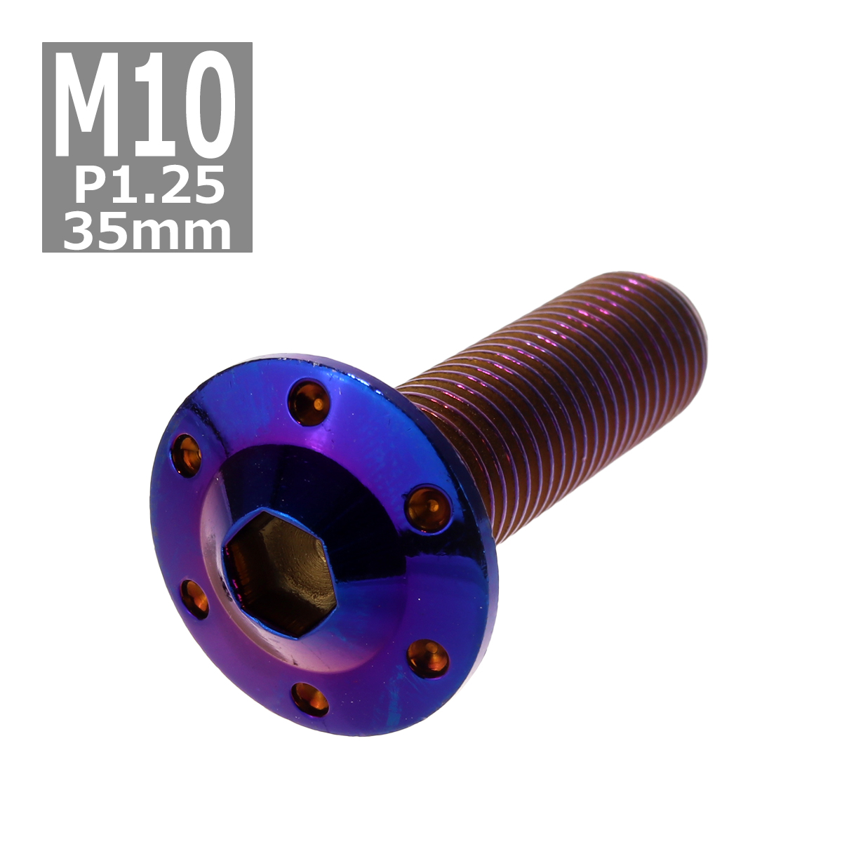 ボタンボルト M10×35mm P1.25 ホールヘッド H-1 ステンレス 焼きチタンカラー 1個 TR0669 | ブランド登録なし