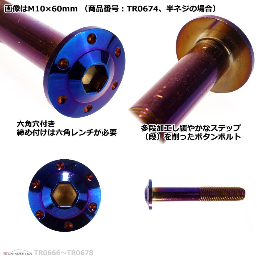 ボタンボルト M10×40mm P1.25 ホールヘッド H-1 ステンレス 焼きチタンカラー 1個 TR0670 | ブランド登録なし | 03