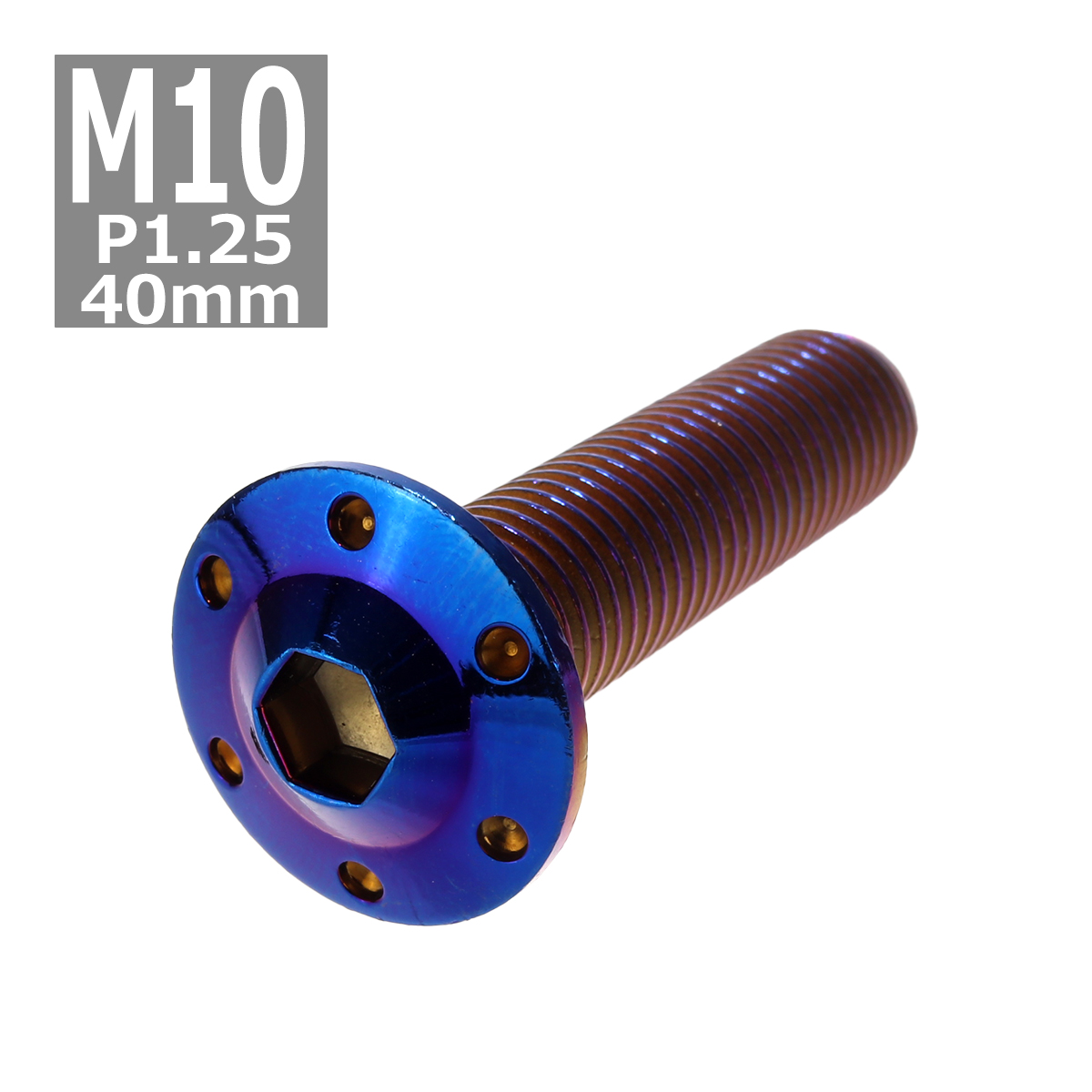 ボタンボルト M10×40mm P1.25 ホールヘッド H-1 ステンレス 焼きチタンカラー 1個 TR0670 | ブランド登録なし