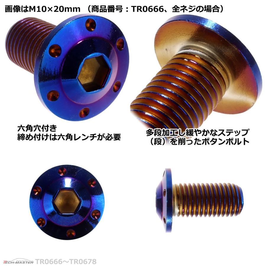 ボタンボルト M10×65mm P1.25 ホールヘッド H-1 ステンレス 焼きチタンカラー 1個 TR0675 | ブランド登録なし | 02