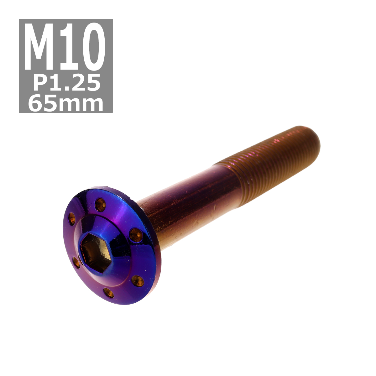 ボタンボルト M10×65mm P1.25 ホールヘッド H-1 ステンレス 焼きチタンカラー 1個 TR0675 | ブランド登録なし