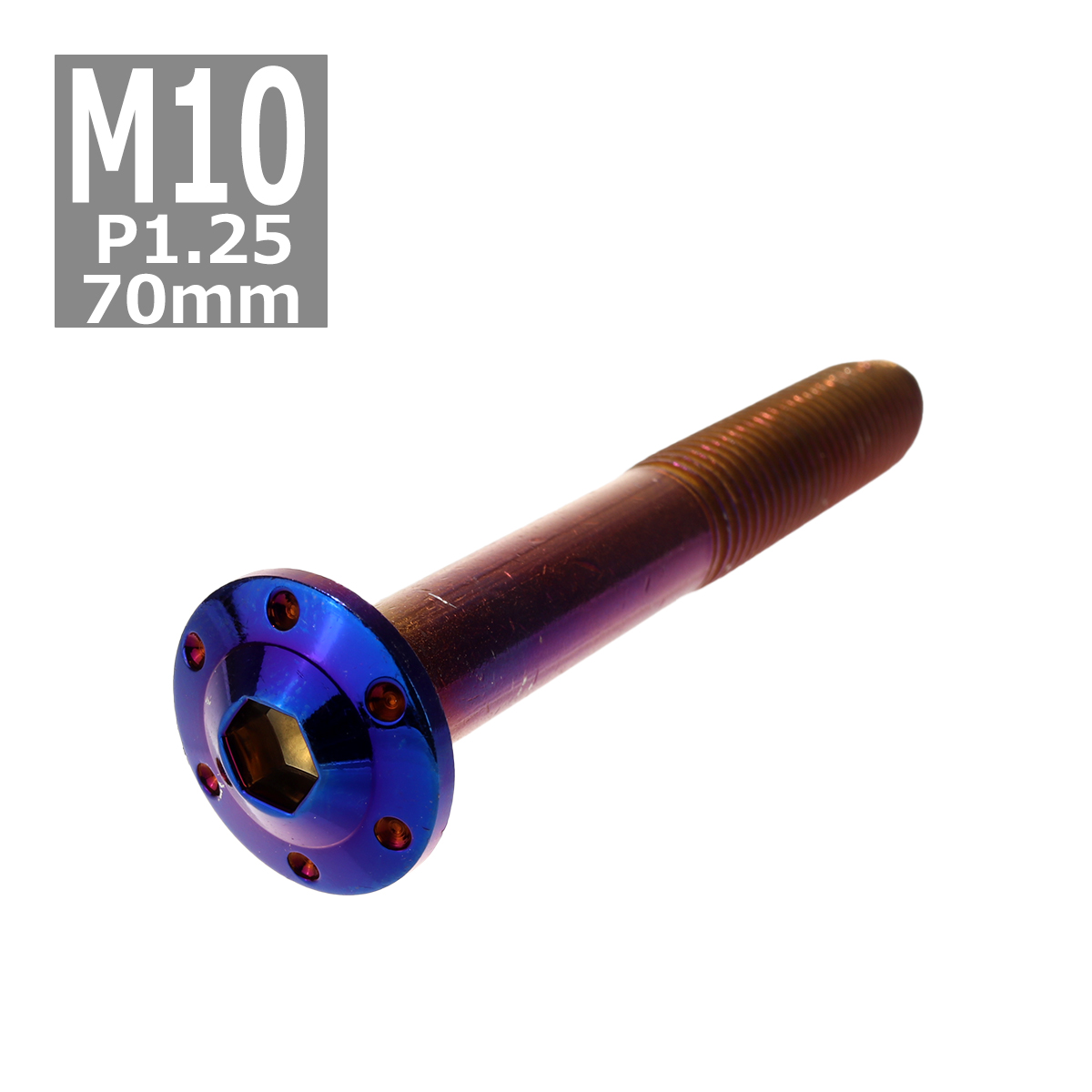ボタンボルト M10×70mm P1.25 ホールヘッド H-1 ステンレス 焼きチタンカラー 1個 TR0676 | ブランド登録なし
