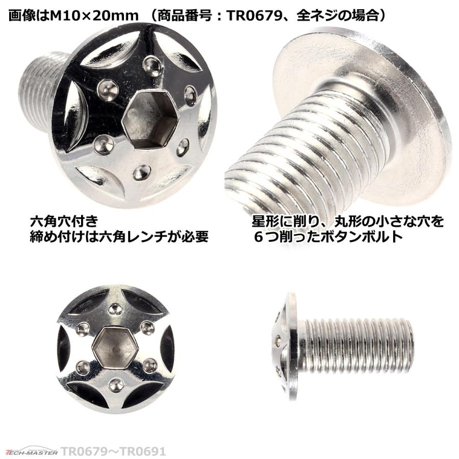 ボタンボルト M10×55mm P1.25 スターホールヘッド ステンレス シルバー 1個 TR0686 | ブランド登録なし | 02