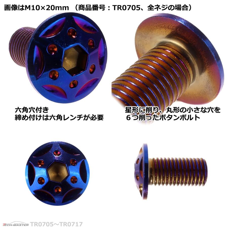 ボタンボルト M10×55mm P1.25 スターホールヘッド ステンレス 焼きチタンカラー 1個 TR0712｜tech｜03