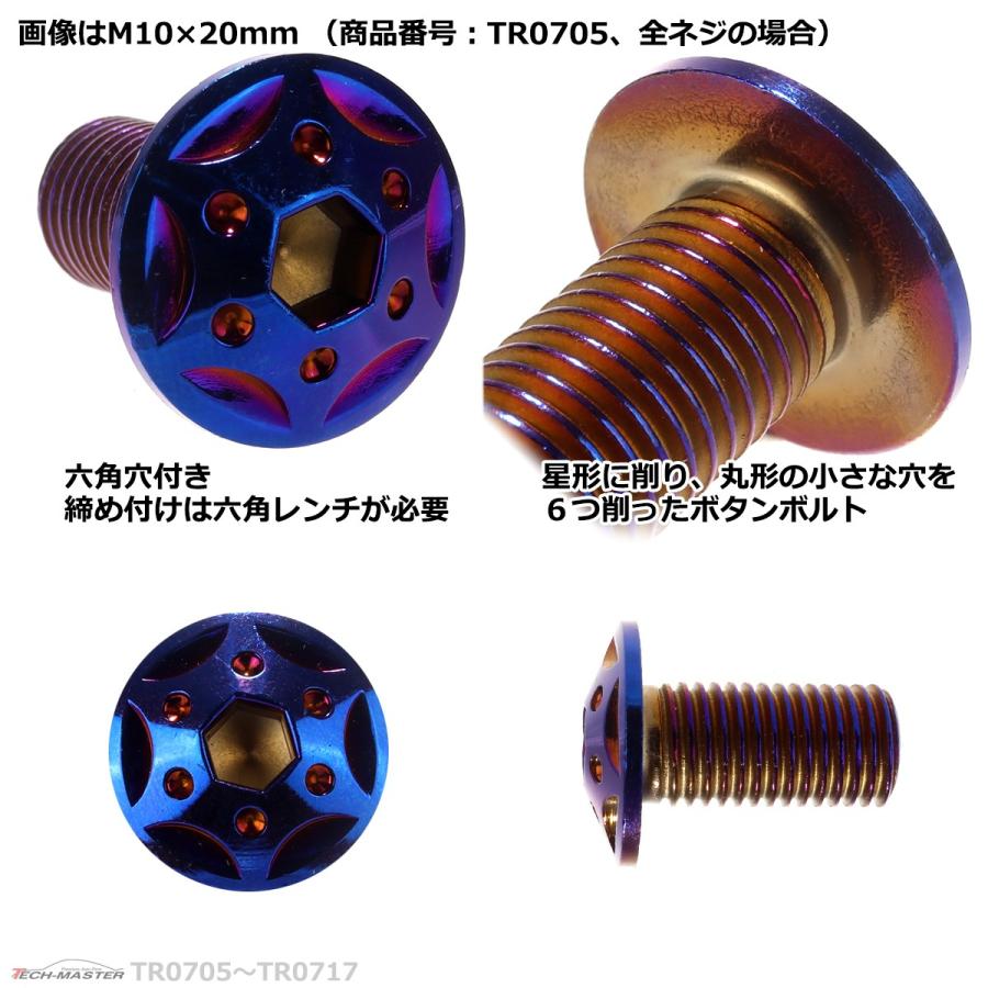 ボタンボルト M10×65mm P1.25 スターホールヘッド ステンレス 焼きチタンカラー 1個 TR0714 | ブランド登録なし | 02