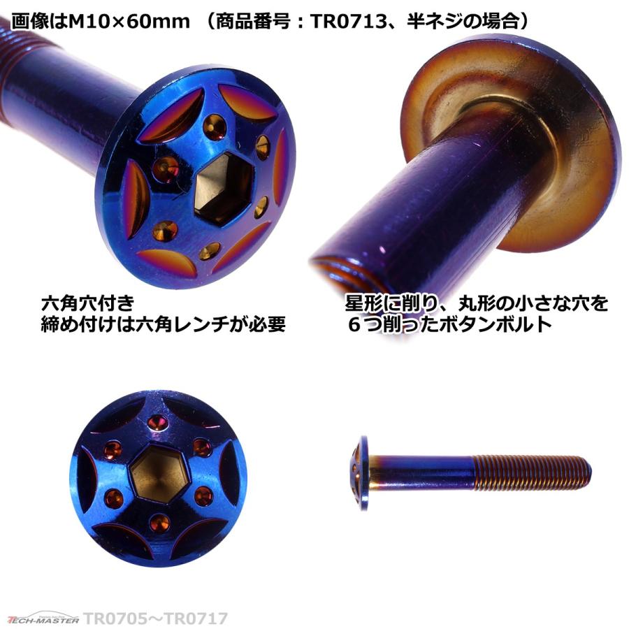 ボタンボルト M10×65mm P1.25 スターホールヘッド ステンレス 焼きチタンカラー 1個 TR0714 | ブランド登録なし | 03