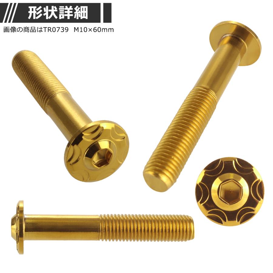 ボタンボルト M10×65mm P1.25 スノーヘッド ステンレス ゴールドカラー 1個 TR0740 | ブランド登録なし | 02