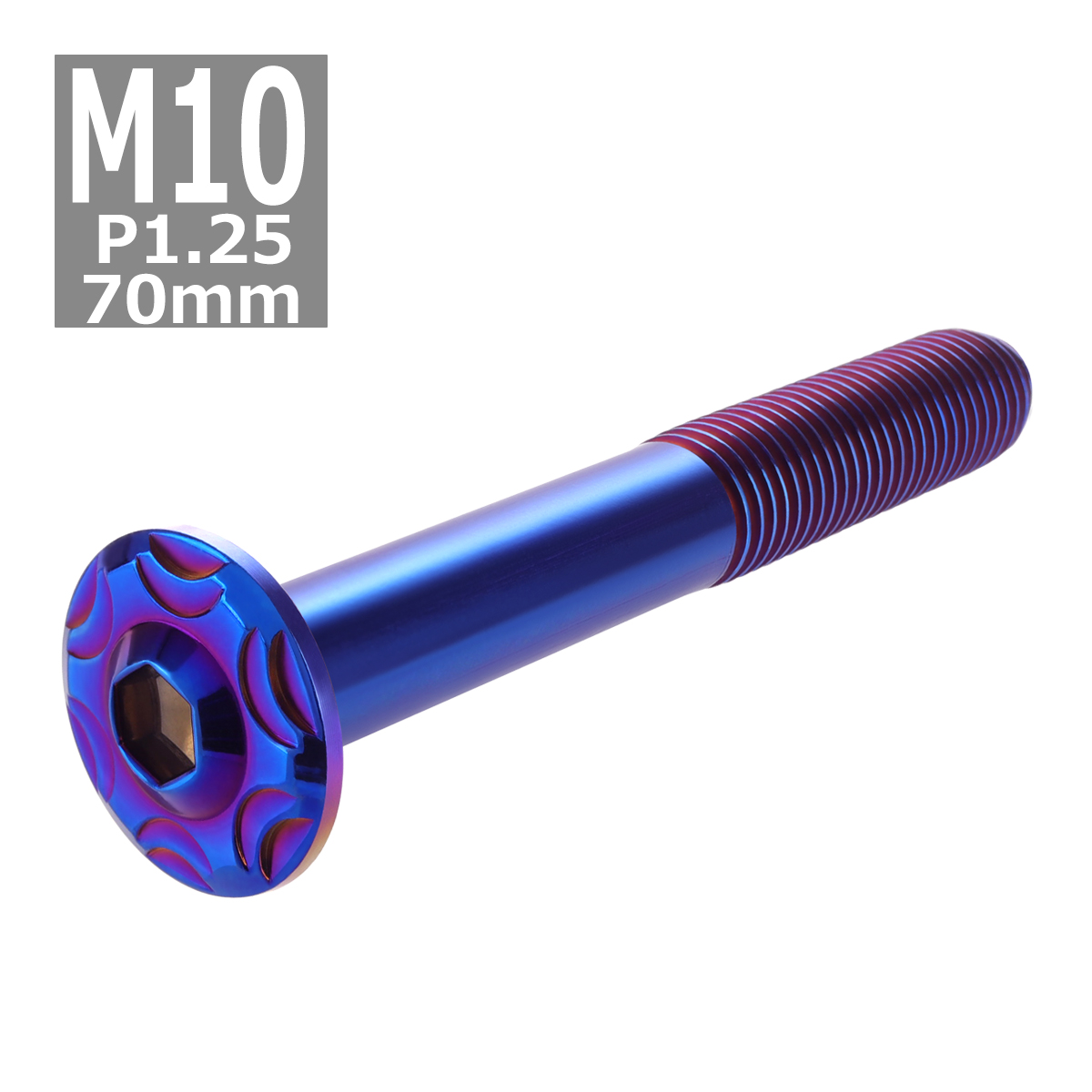 ボタンボルト M10×70mm P1.25 スノーヘッド ステンレス 焼きチタンカラー 1個 TR0754 | ブランド登録なし