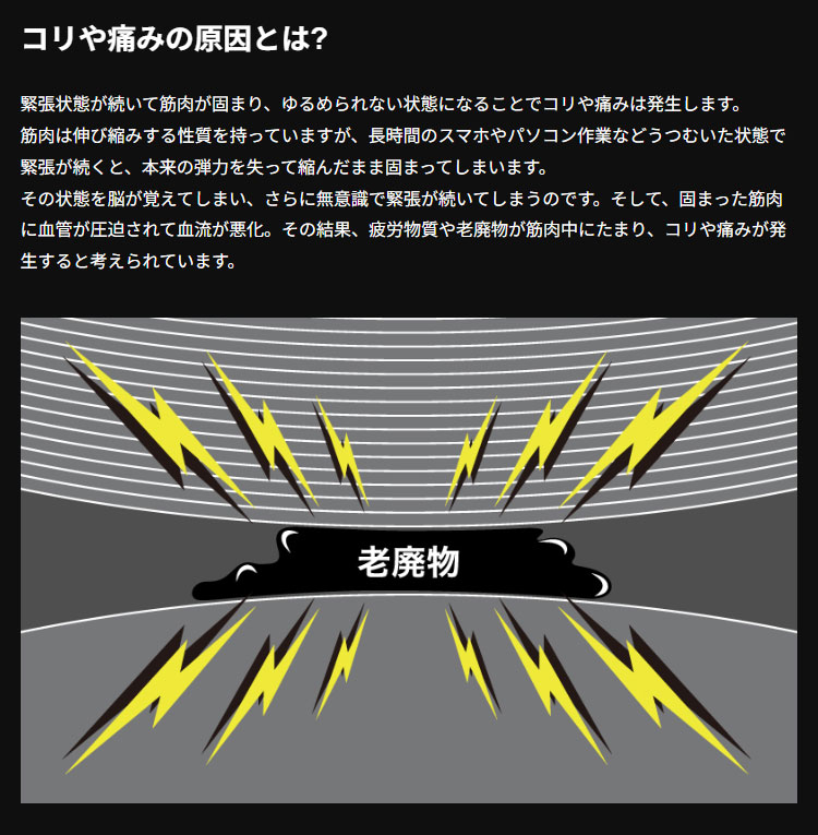 BANDEL バンデル ヘルスケア Healt...の詳細画像5