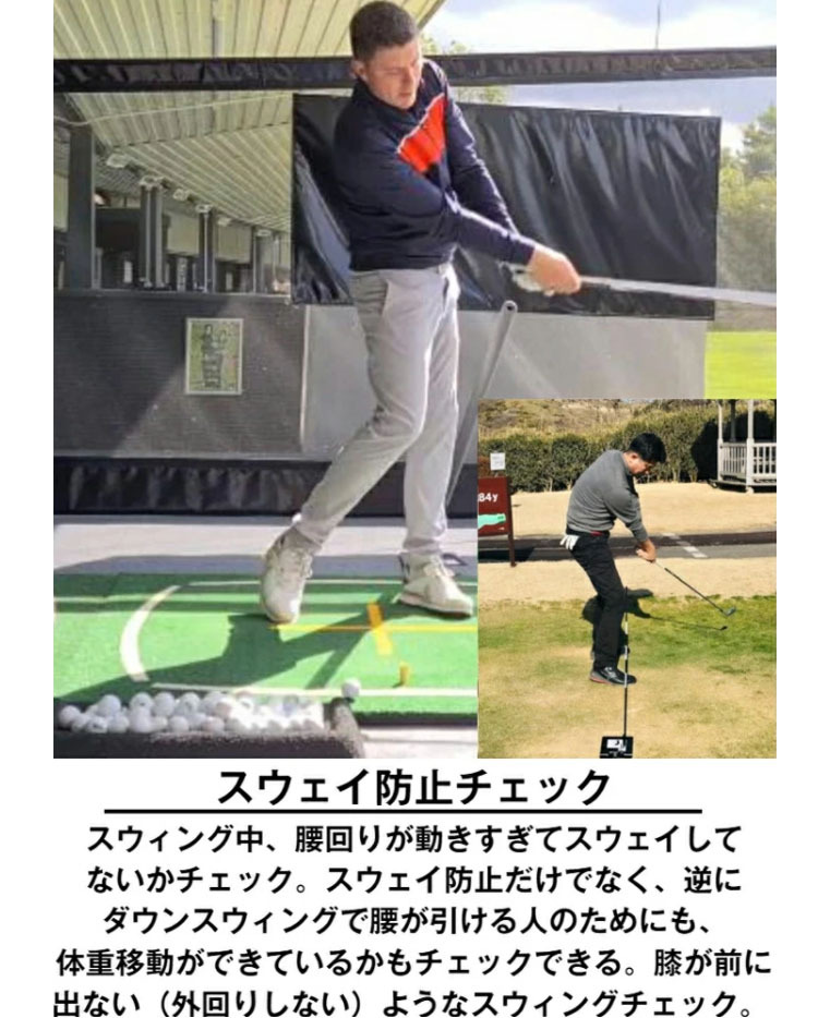 スウィングプレート THE SWING PLATE プレートのみ 爆買 : ティー
