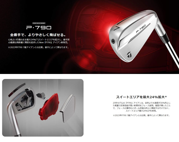 ns950（アイアンセット）｜クラブ（メンズ）｜ゴルフ | スポーツ の