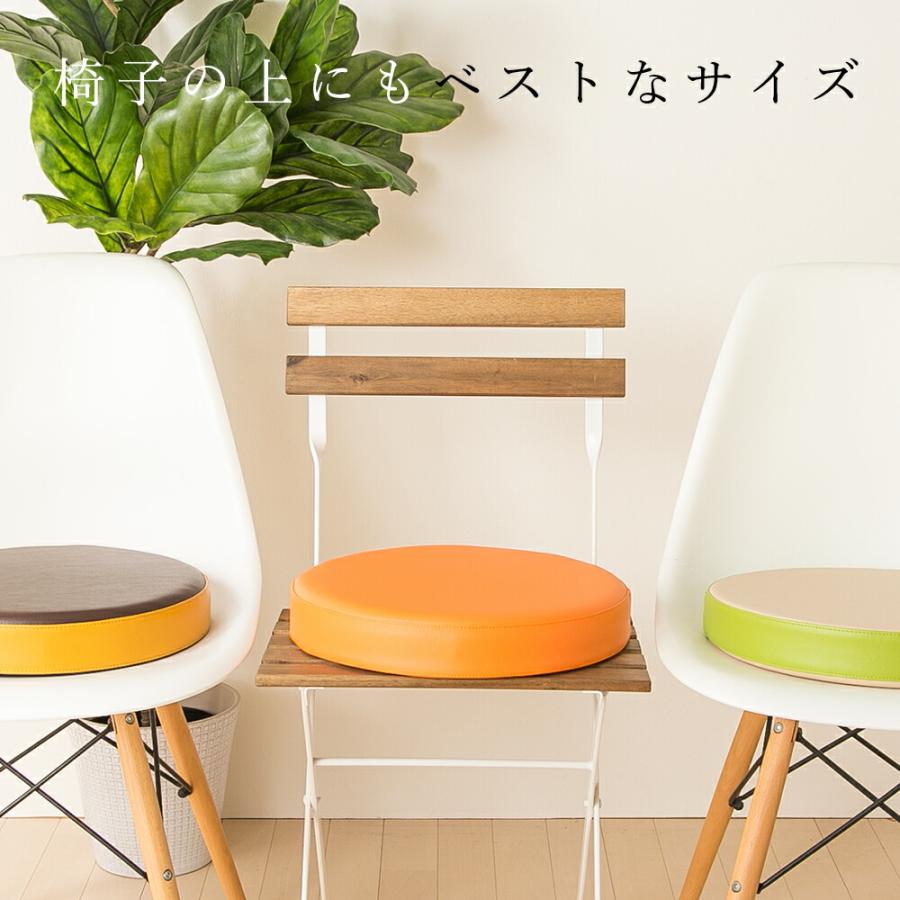 クッション フロクッション 「CO-LEON」 おしゃれ お手入れ簡単