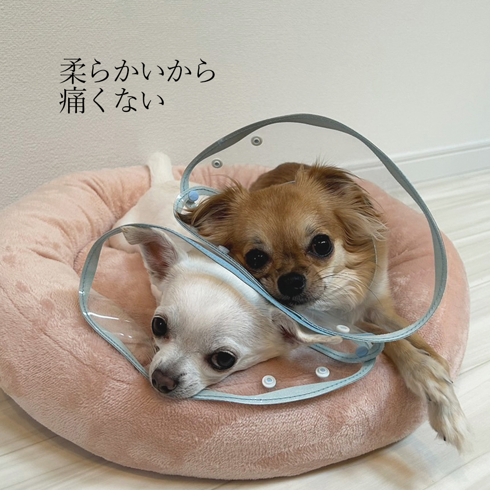 エリザベスカラー 「erikku」 猫 犬 ペット 介護 透明 やわらかい