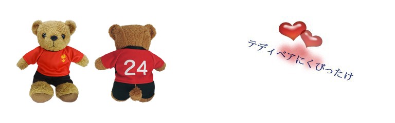 ぬいぐるみ テディベア くす フォルクスワーゲン