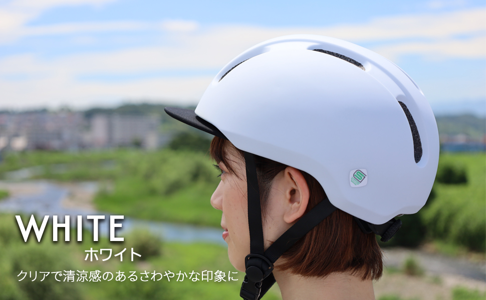 補助金・助成金対象】【日本安全基準 SGマーク 付き】自転車