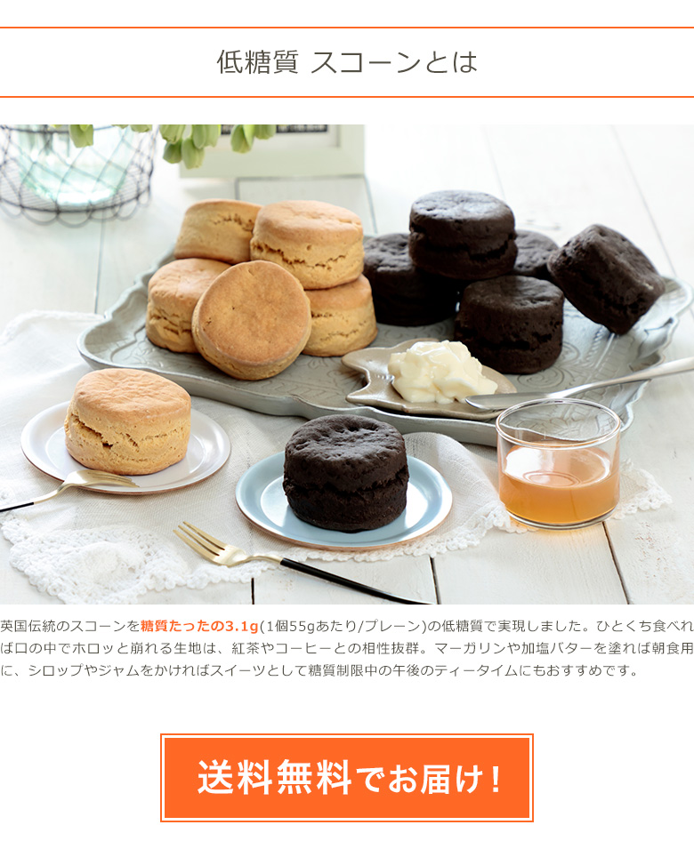 5袋セット 手作りの低糖質ガトーショコラ 5袋 ロカボ 低糖質食品 低糖質スイーツ クール冷凍便 高質で安価