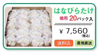 はなびらたけ商品　お徳用20パック入